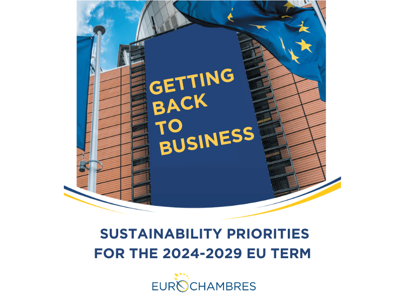 Sustainability Priorities for the 2024-2029 EU Term