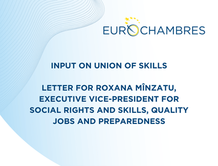 Letter to Commissioner Roxana Minzatu on Union of Skills